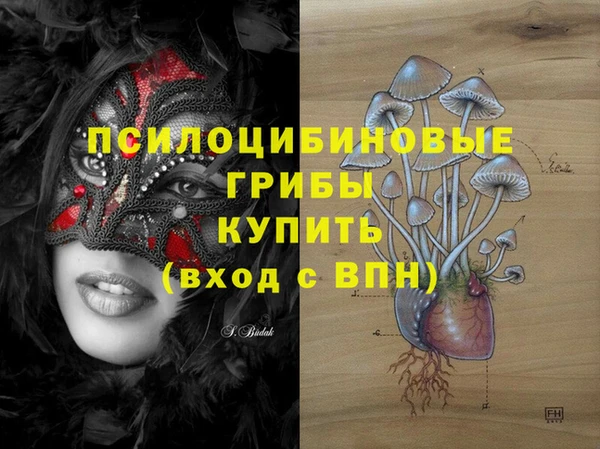спайс Приозерск