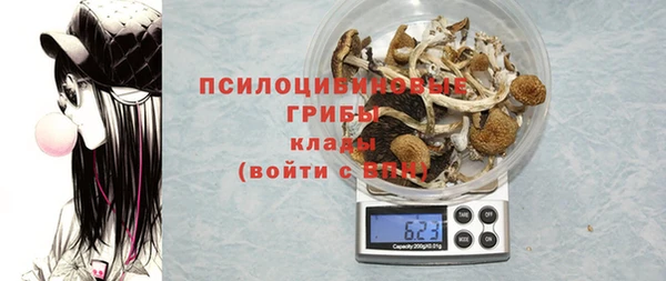 спайс Приозерск