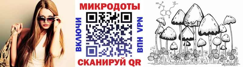 Купить где  Дудинка  Псилоцибиновые грибы Cubensis 