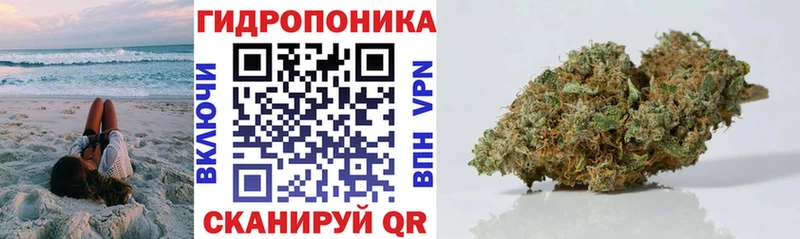 Бошки марихуана марихуана  Купить где  Дудинка 